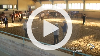 Play video